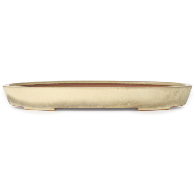Oval beige bonsai pot by Reiho - 463 x 295 x 60 mm