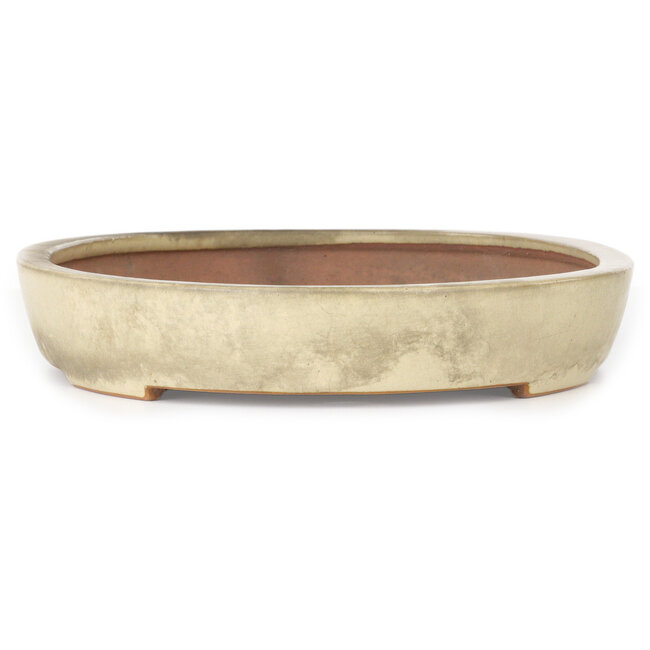 Maceta ovalada beige para bonsái de Reiho - 463 x 295 x 60 mm