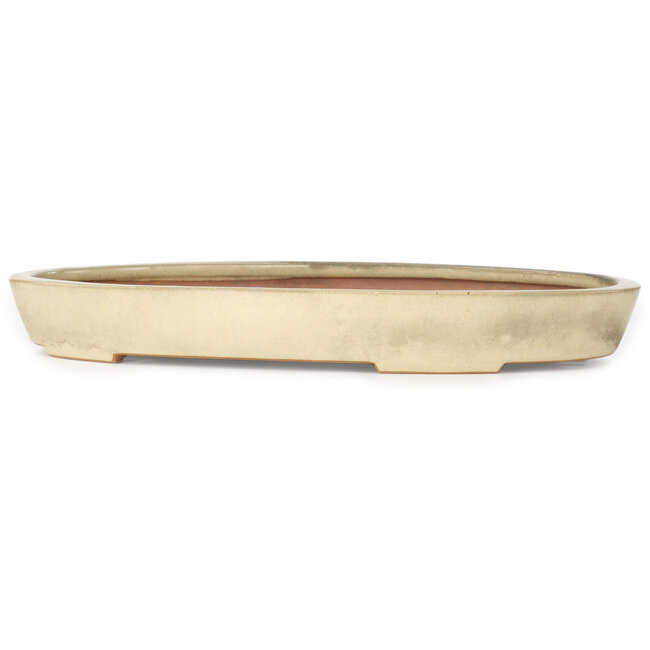 Oval beige bonsai pot by Reiho - 463 x 295 x 60 mm