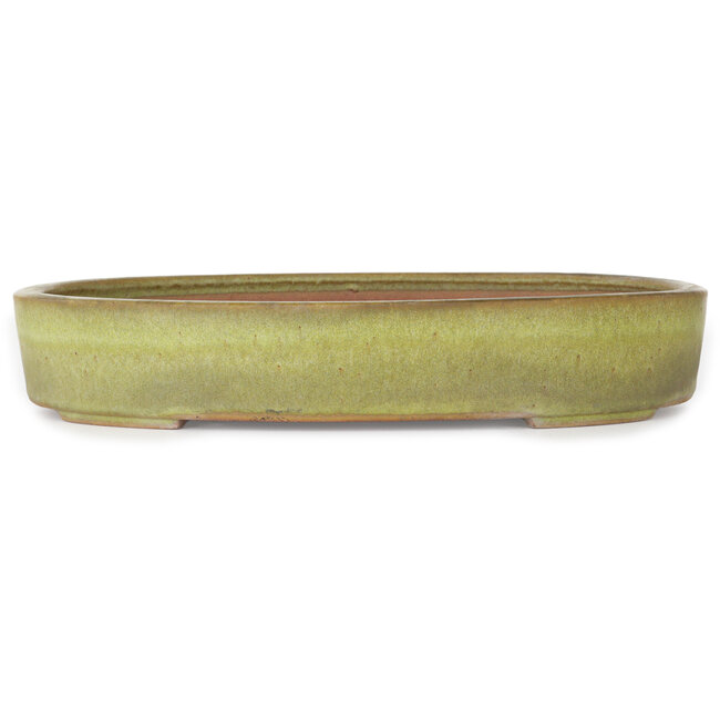 Oval yellow bonsai pot by Reiho - 285 x 220 x 50 mm