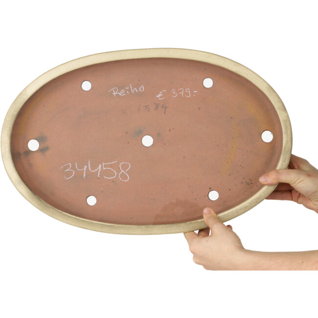 Maceta ovalada beige para bonsái de Reiho - 463 x 295 x 60 mm