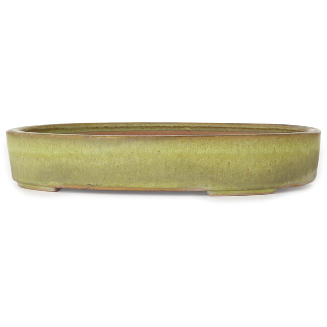 Vaso bonsai ovale giallo di Reiho - 285 x 220 x 50 mm