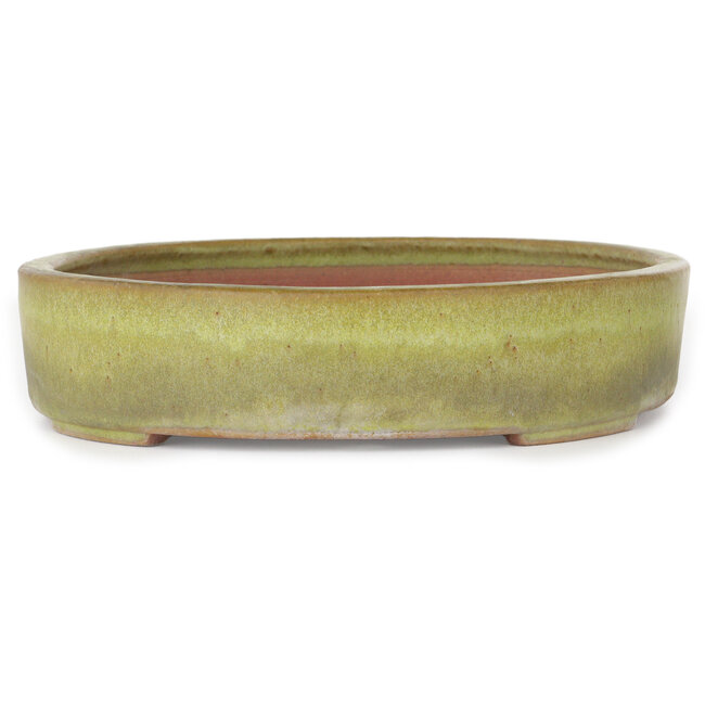 Oval yellow bonsai pot by Reiho - 285 x 220 x 50 mm