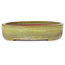 Oval yellow bonsai pot by Reiho - 285 x 220 x 50 mm