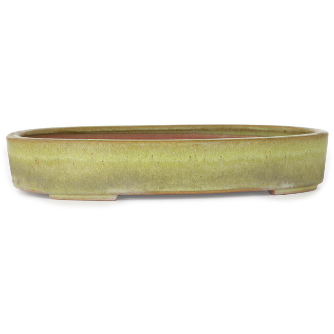 Vaso bonsai ovale giallo di Reiho - 285 x 220 x 50 mm