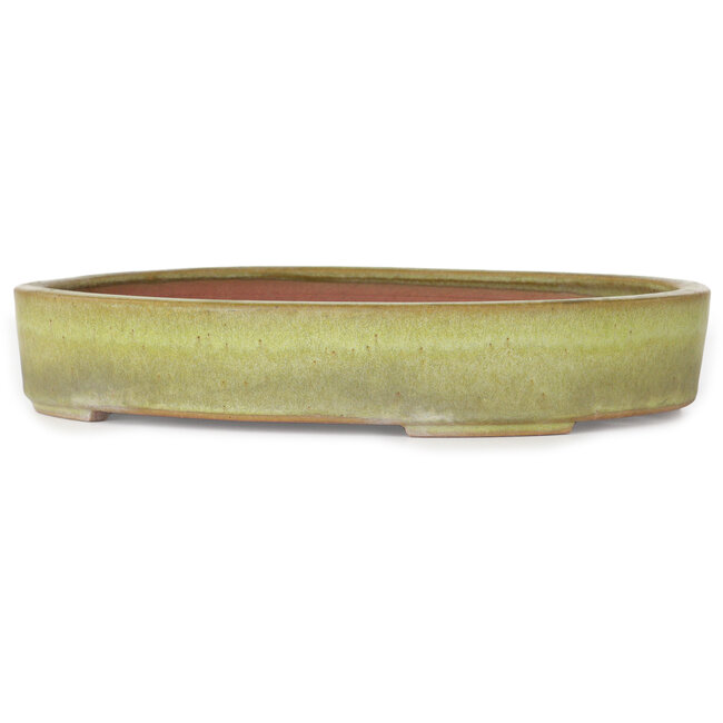 Oval yellow bonsai pot by Reiho - 285 x 220 x 50 mm