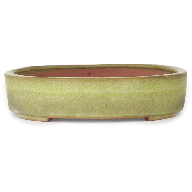 Pot à bonsaï ovale jaune de Reiho - 285 x 220 x 50 mm