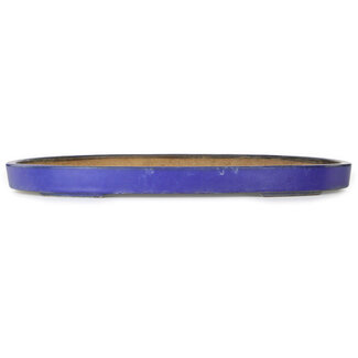  Hattori Tomoyuki 620 mm ovaler blauer Bonsaitopf von Hattori, Tokoname, Japan