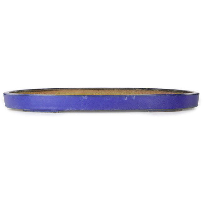 Oval blue bonsai pot by Hattori - 620 x 405 x 50 mm