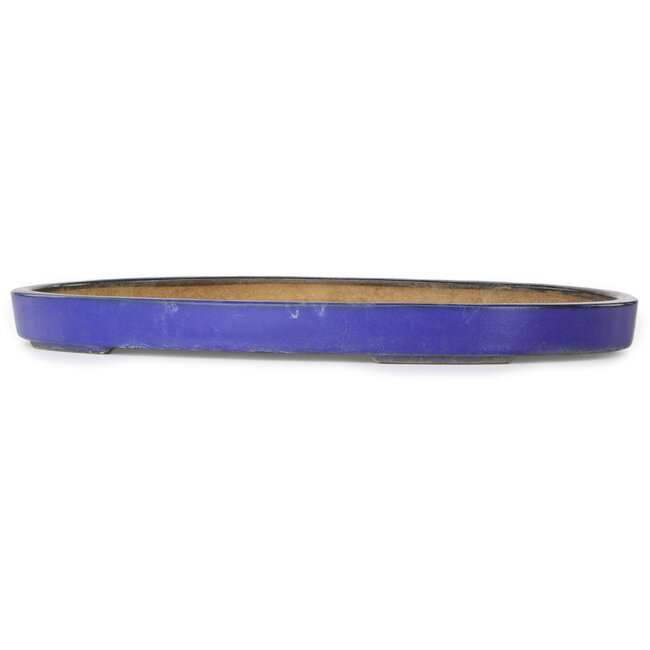 Oval blue bonsai pot by Hattori - 620 x 405 x 50 mm