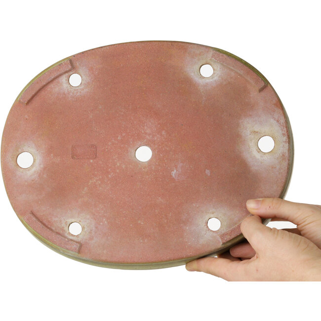 Ovale gele bonsaipot van Reiho - 285 x 220 x 50 mm