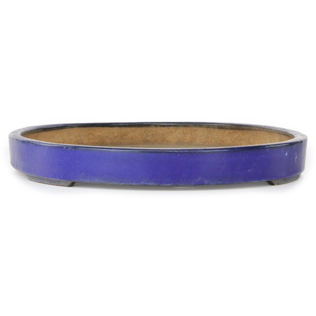 Oval blue bonsai pot by Hattori - 620 x 405 x 50 mm