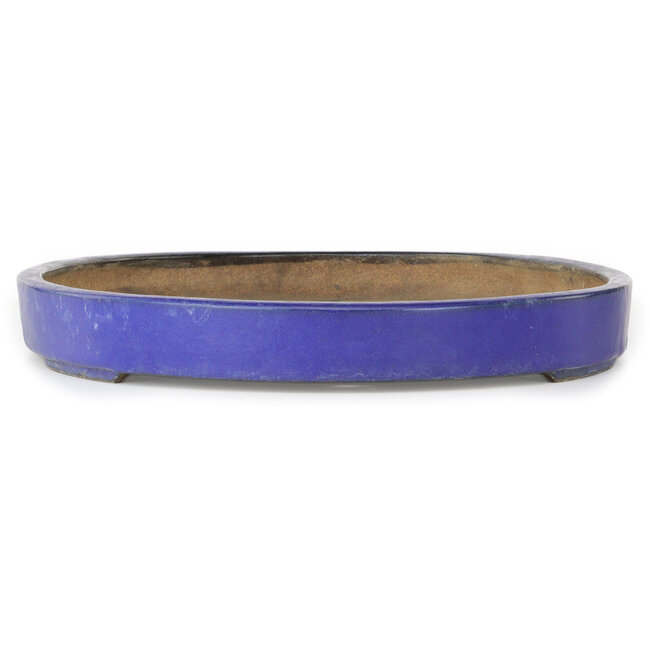 Oval blue bonsai pot by Hattori - 620 x 405 x 50 mm