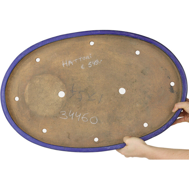 Maceta ovalada azul para bonsái de Hattori - 620 x 405 x 50 mm