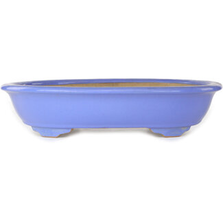 Ikkou - Watanabe Kazuhiro æ¸¡è¾ºä¸€å¼˜ Ovale blauwe bonsaipot van 445 mm van Ikkou, Tokoname, Japan