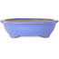 Maceta ovalada azul para bonsái de Ikkou - 445 x 365 x 100 mm