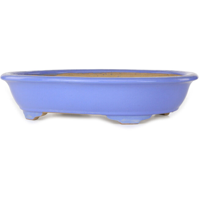 Ovale blauwe bonsaipot van Ikkou - 445 x 365 x 100 mm