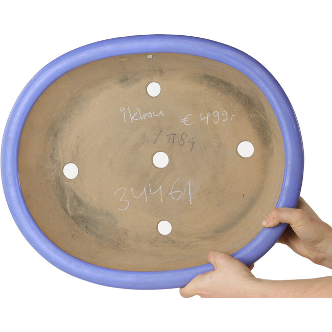 Pot à bonsaï ovale bleu par Ikkou - 445 x 365 x 100 mm
