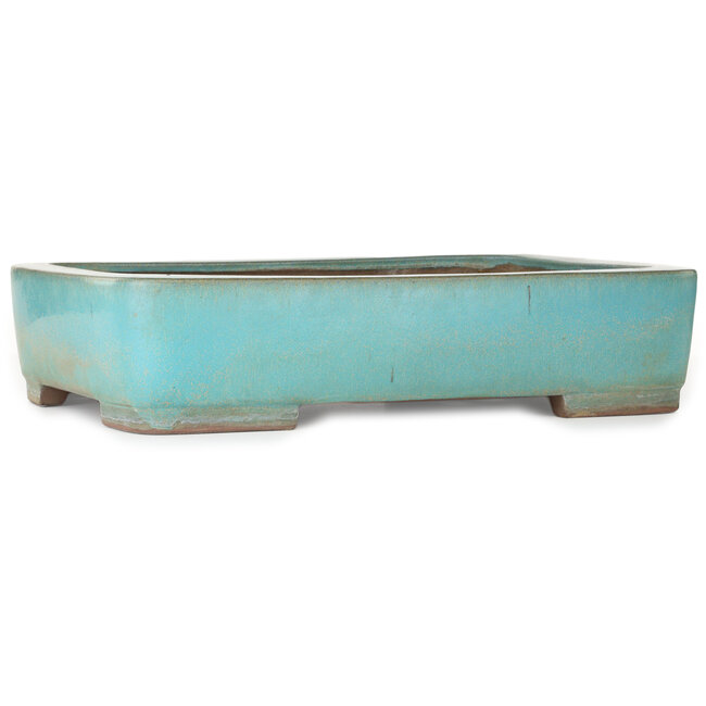 Vaso bonsai rettangolare turchese di Kakuzan - 470 x 340 x 105 mm