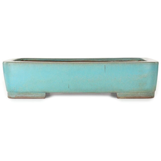 Maceta rectangular turquesa para bonsái de Kakuzan - 470 x 340 x 105 mm