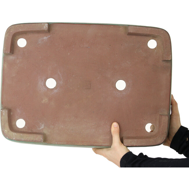 Maceta rectangular turquesa para bonsái de Kakuzan - 470 x 340 x 105 mm