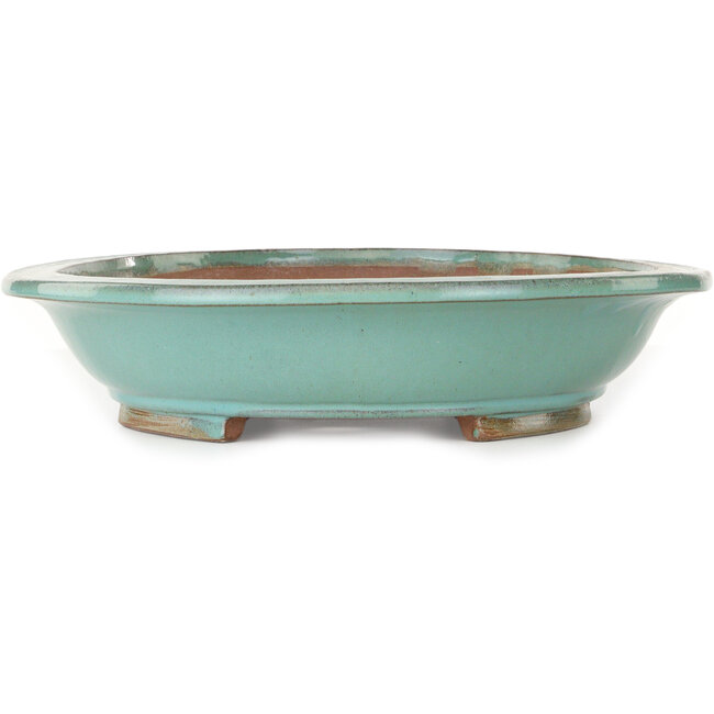 Oval turquoise bonsai pot - 480 x 375 x 78 mm