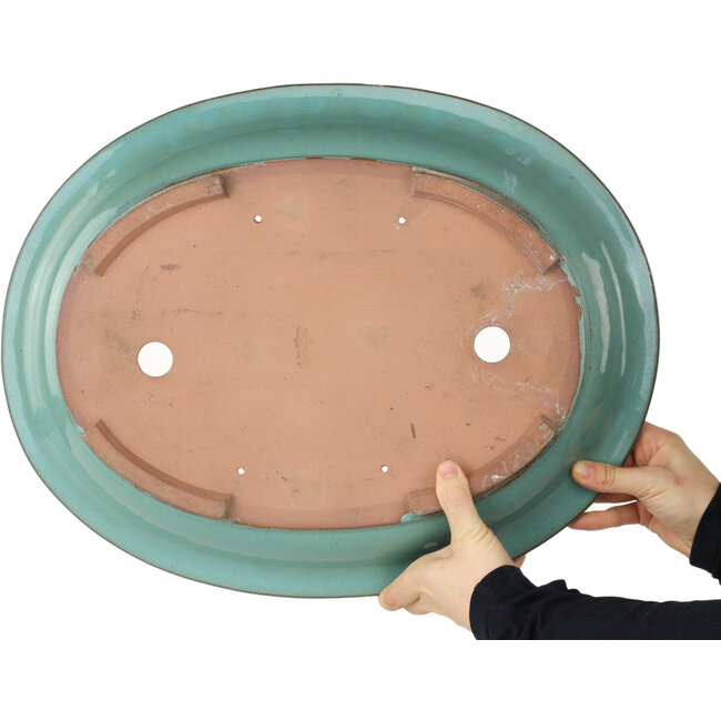 Maceta ovalada para bonsái turquesa - 480 x 375 x 78 mm