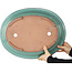 Oval turquoise bonsai pot - 480 x 375 x 78 mm