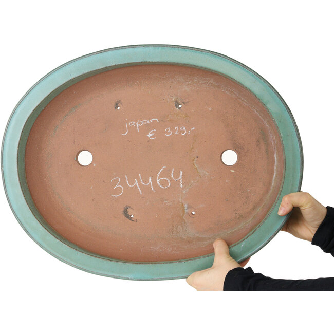 Pot à bonsaï ovale turquoise - 480 x 375 x 78 mm
