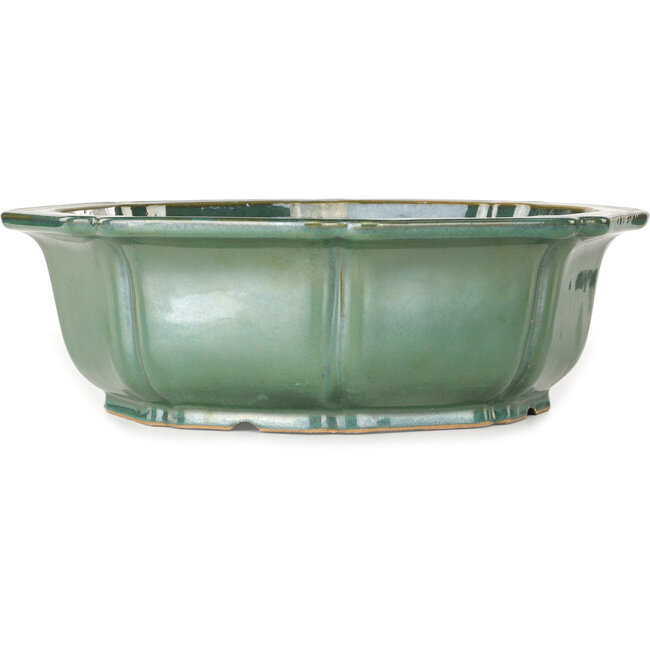 Lotus groene bonsai pot - 355 x 355 x 110 mm