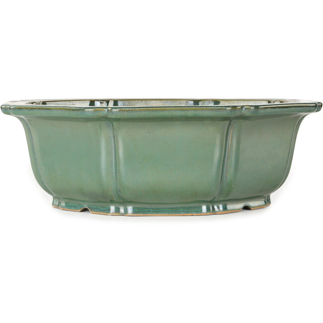 Lotus green bonsai pot - 355 x 355 x 110 mm
