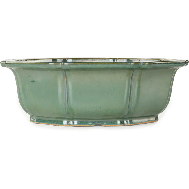 Lotus groene bonsai pot - 355 x 355 x 110 mm
