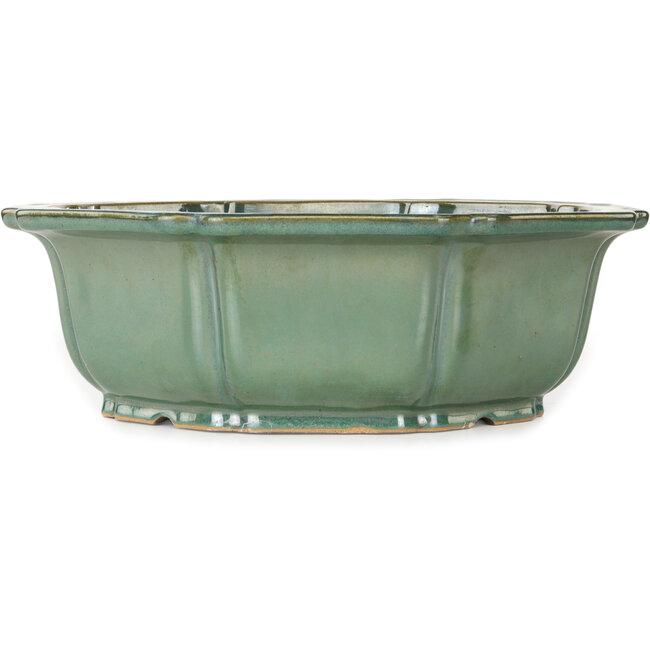 Lotusgrüner Bonsaitopf - 355 x 355 x 110 mm