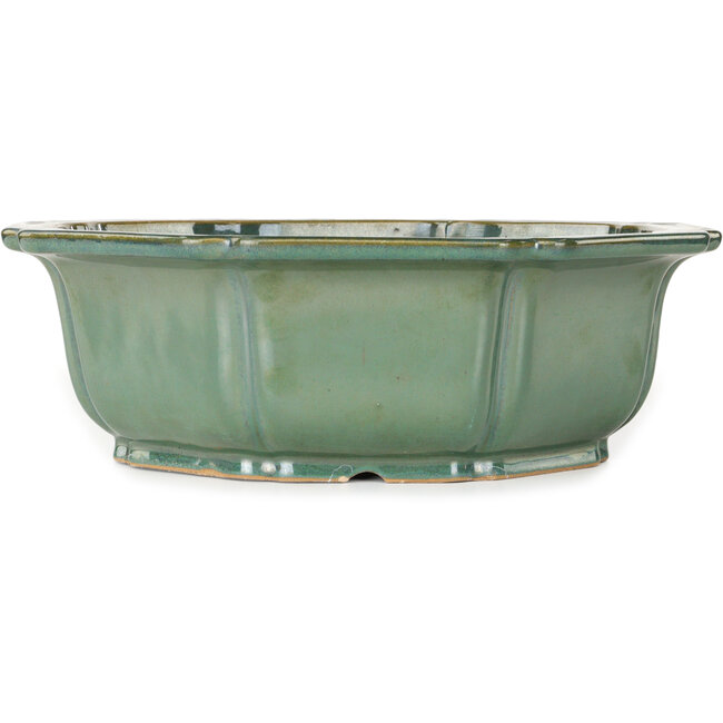 Lotusgrüner Bonsaitopf - 355 x 355 x 110 mm