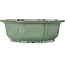 Lotus green bonsai pot - 355 x 355 x 110 mm