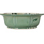 Lotus groene bonsai pot - 355 x 355 x 110 mm