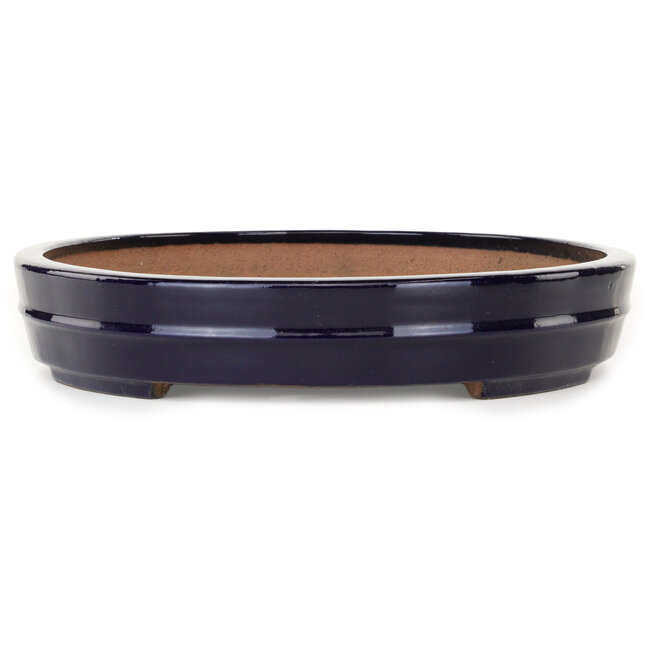 Oval dark blue bonsai pot by Yamafusa - 403 x 315 x 55 mm