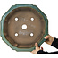 Lotus groene bonsai pot - 355 x 355 x 110 mm