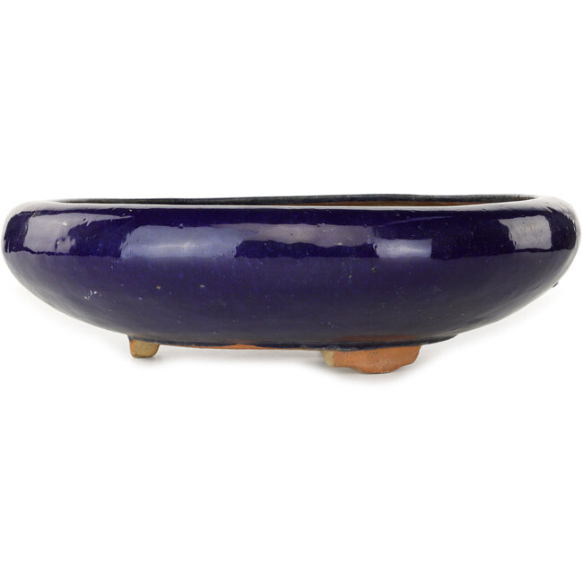 Pot à bonsaï rond bleu foncé - 410 x 410 x 105 mm