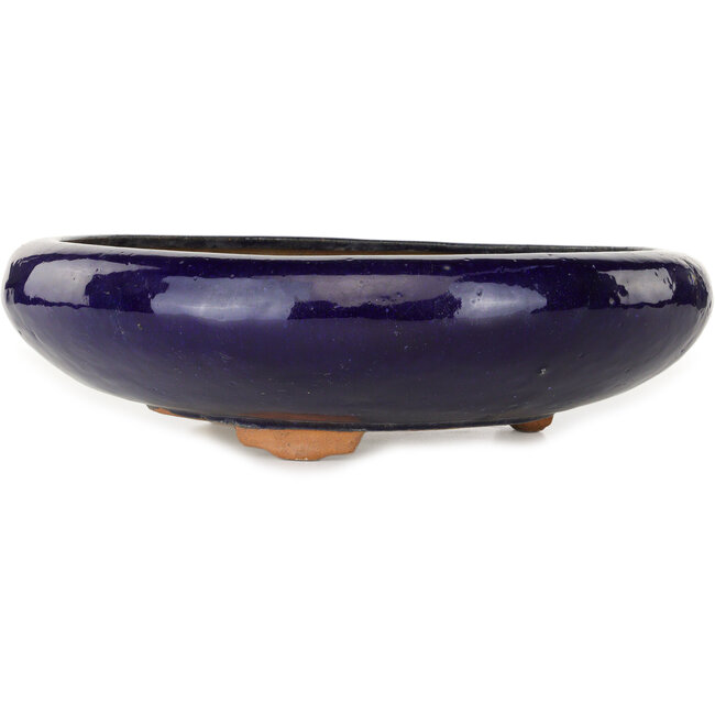 Pot à bonsaï rond bleu foncé - 410 x 410 x 105 mm