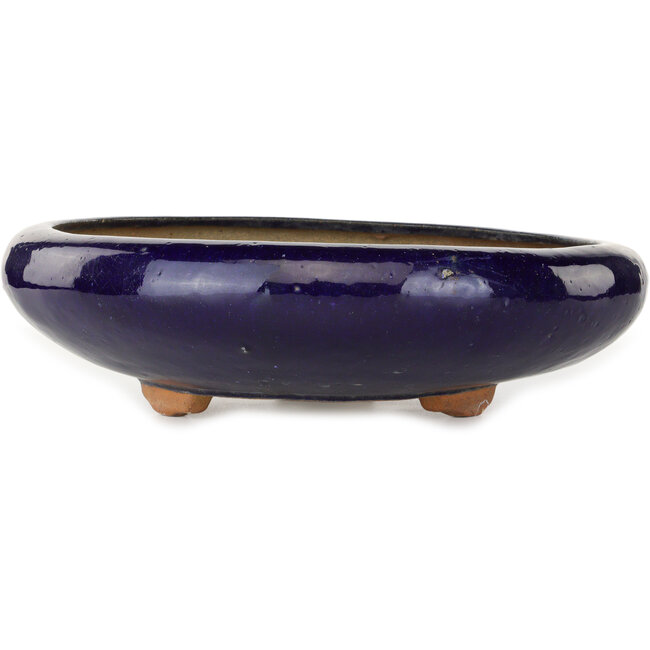Pot à bonsaï rond bleu foncé - 410 x 410 x 105 mm
