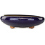 Runder dunkelblauer Bonsai-Topf - 410 x 410 x 105 mm