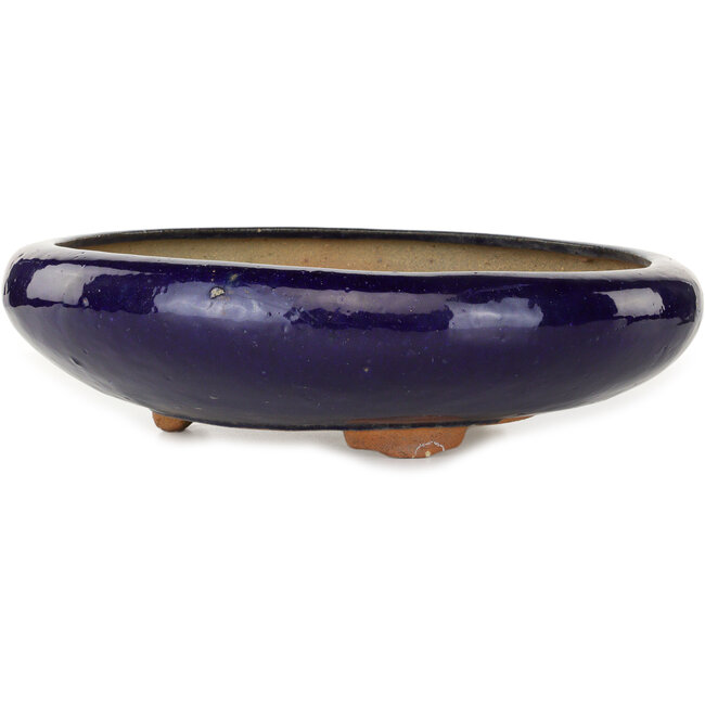 Pot à bonsaï rond bleu foncé - 410 x 410 x 105 mm