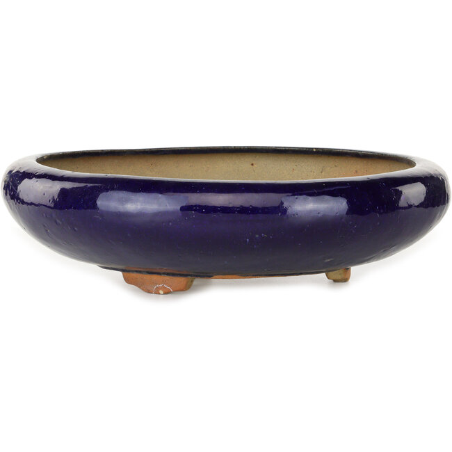 Pot à bonsaï rond bleu foncé - 410 x 410 x 105 mm