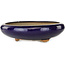 Pot à bonsaï rond bleu foncé - 410 x 410 x 105 mm