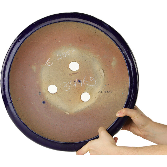 Pot à bonsaï rond bleu foncé - 410 x 410 x 105 mm