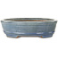 Ovaler blauer Bonsai-Topf von Gyouzan - 425 x 355 x 90 mm