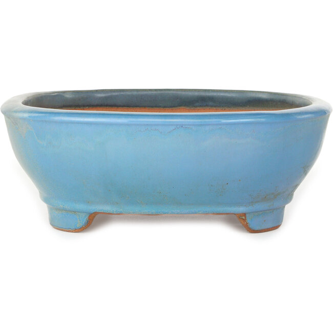 Oval blue bonsai pot by Gyouzan - 405 x 333 x 115 mm