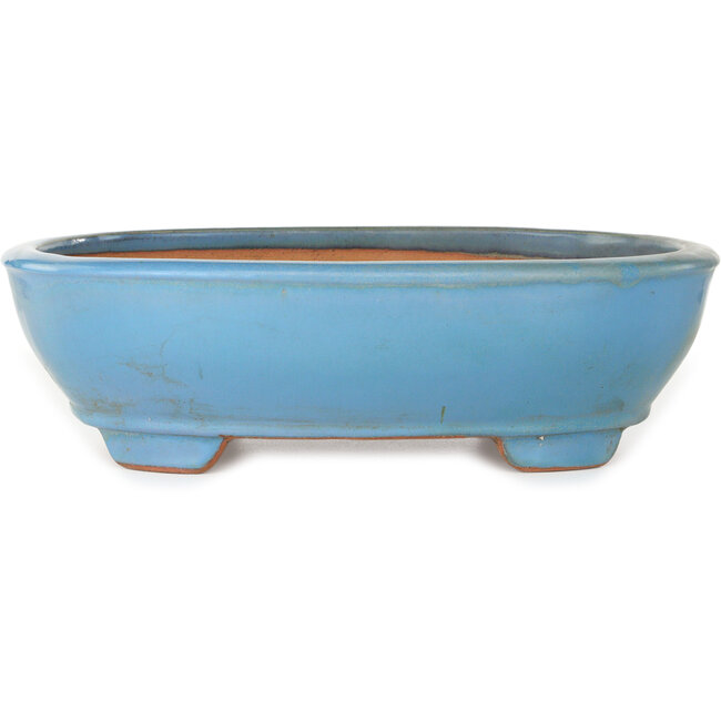 Pot à bonsaï ovale bleu de Gyouzan - 405 x 333 x 115 mm