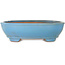 Oval blue bonsai pot by Gyouzan - 405 x 333 x 115 mm